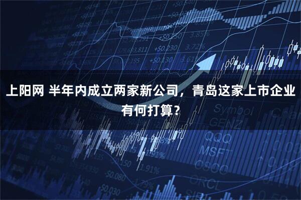 上阳网 半年内成立两家新公司，青岛这家上市企业有何打算？