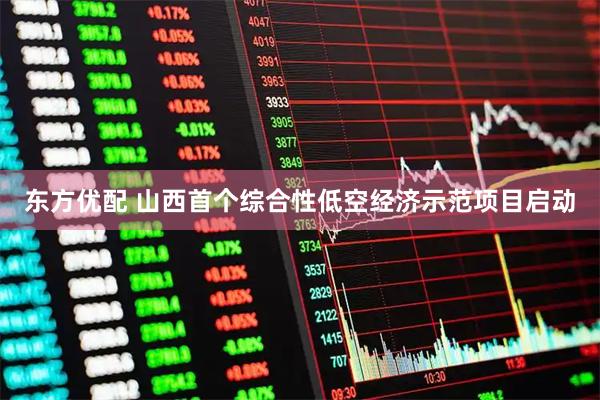 东方优配 山西首个综合性低空经济示范项目启动