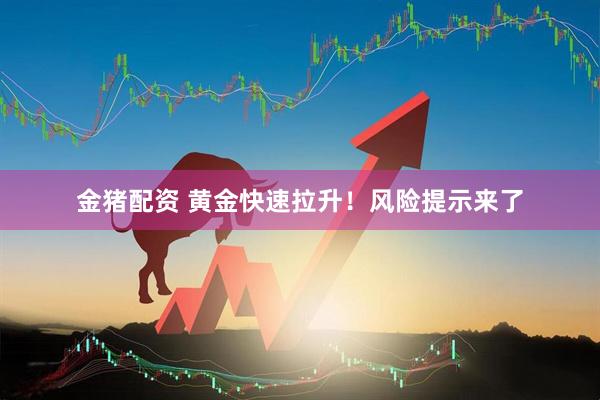 金猪配资 黄金快速拉升！风险提示来了