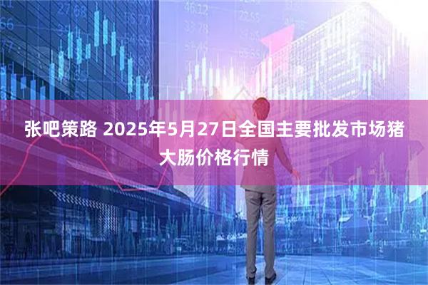张吧策路 2025年5月27日全国主要批发市场猪大肠价格行情