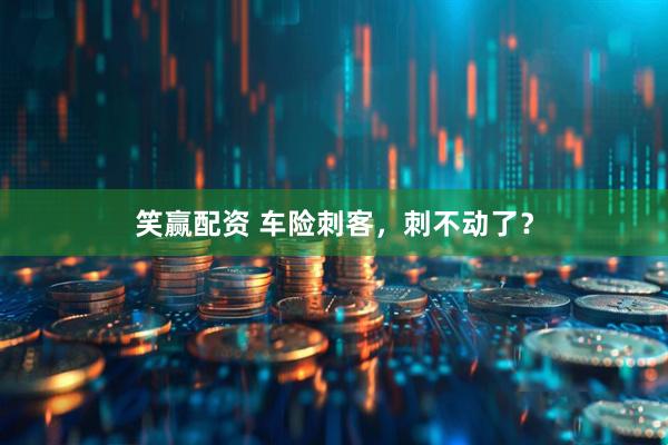 笑赢配资 车险刺客，刺不动了？