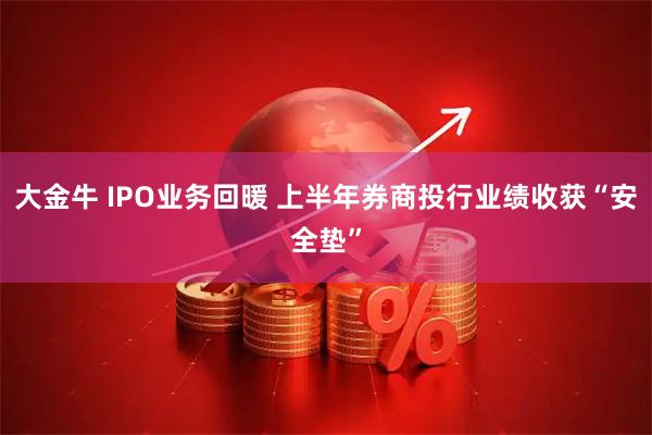 大金牛 IPO业务回暖 上半年券商投行业绩收获“安全垫”