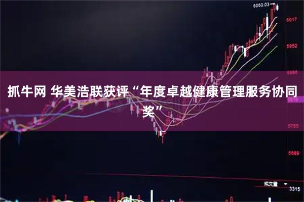 抓牛网 华美浩联获评“年度卓越健康管理服务协同奖”