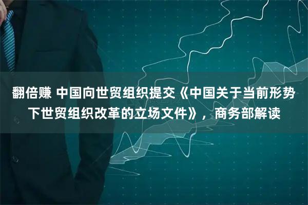 翻倍赚 中国向世贸组织提交《中国关于当前形势下世贸组织改革的立场文件》，商务部解读
